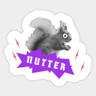 The Squirrel's a nutter Sticker